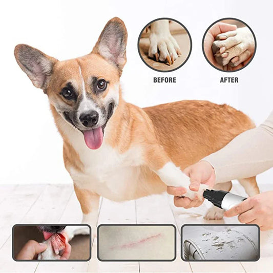 Electric Pet Nail Grinder with Diamond Replacement Head – Professional Trimmer for Dogs & Cats